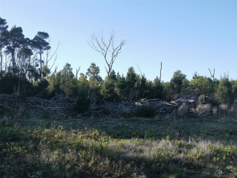 160 Youngs Road, Yambacoona TAS 7256