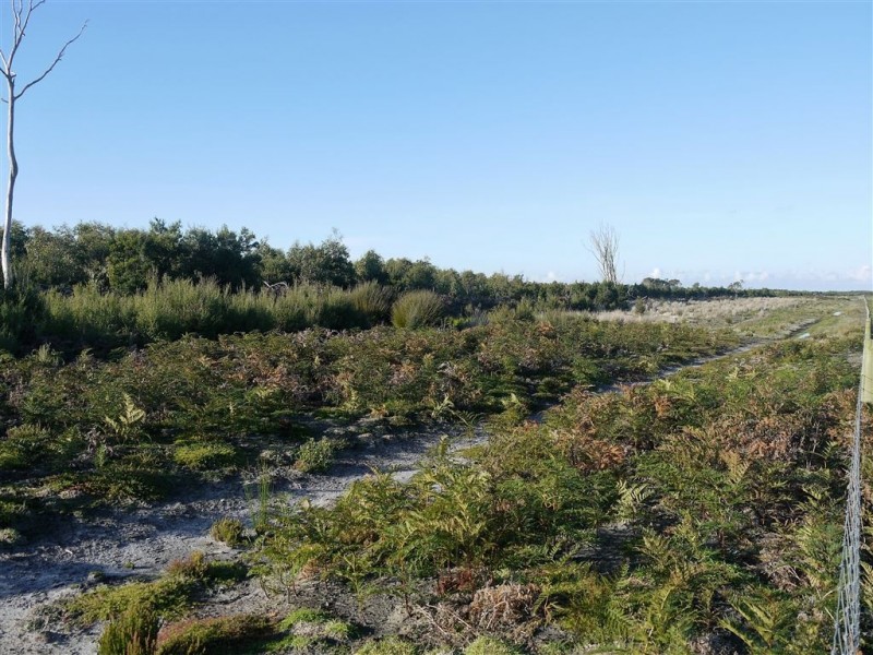 160 Youngs Road, Yambacoona TAS 7256