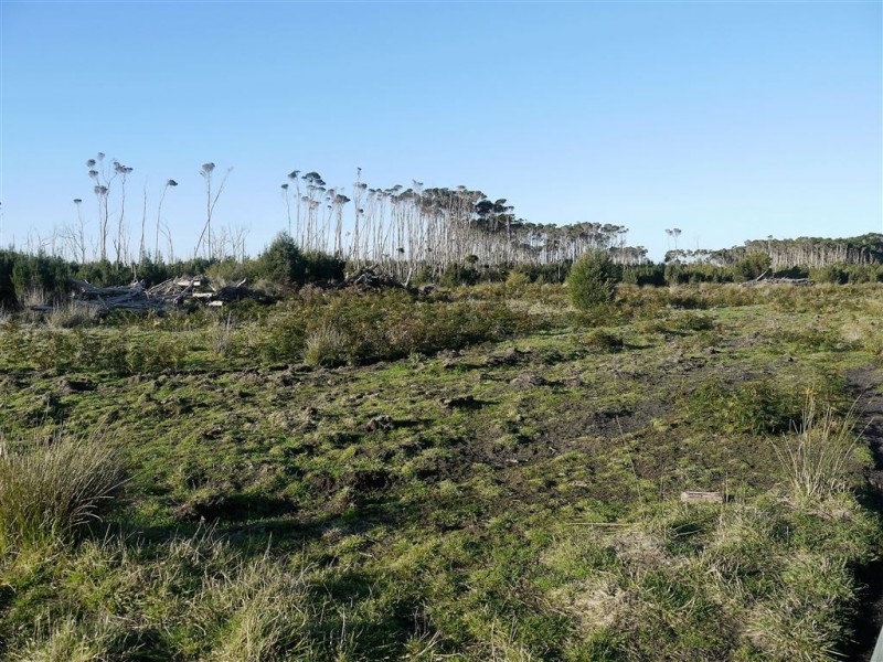 160 Youngs Road, Yambacoona TAS 7256