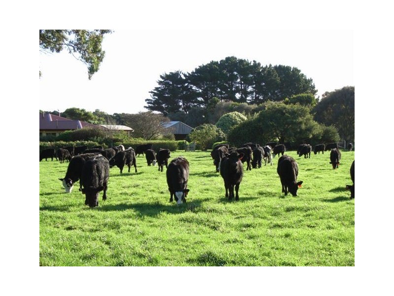 49 Bold Head Road, Yarra Creek TAS 7256