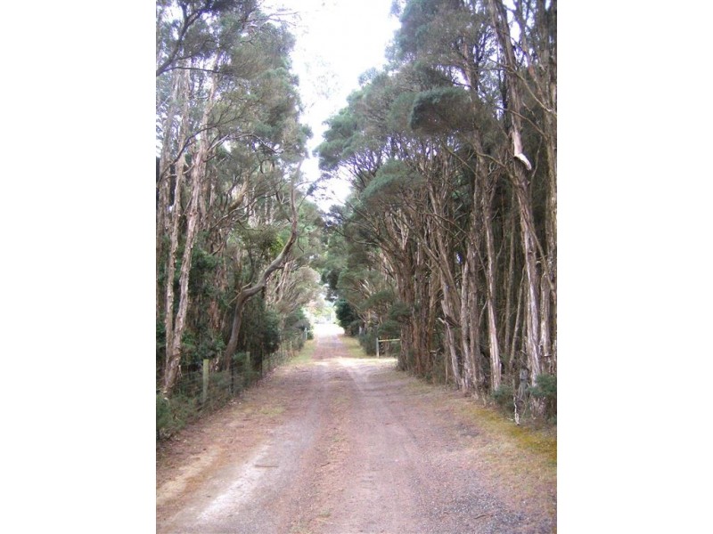 49 Bold Head Road, Yarra Creek TAS 7256