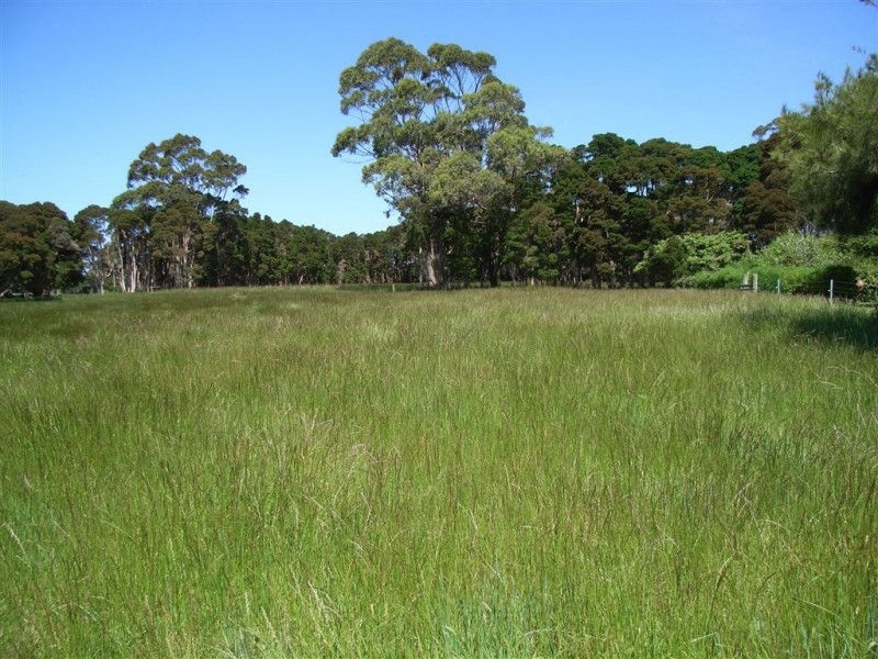 49 Bold Head Road, Yarra Creek TAS 7256