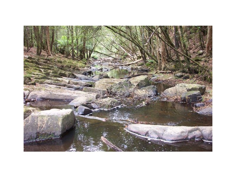 49 Bold Head Road, Yarra Creek TAS 7256