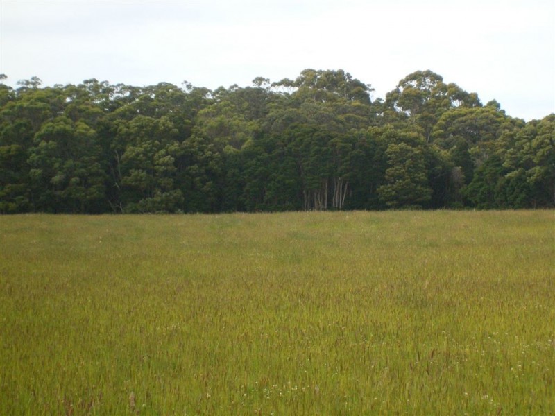 49 Bold Head Road, Yarra Creek TAS 7256