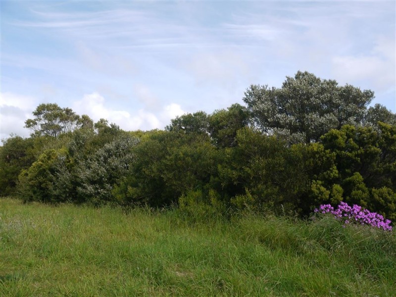 26 Albert Street, Currie TAS 7256