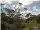 137 Brumbys Road, Currie TAS 7256