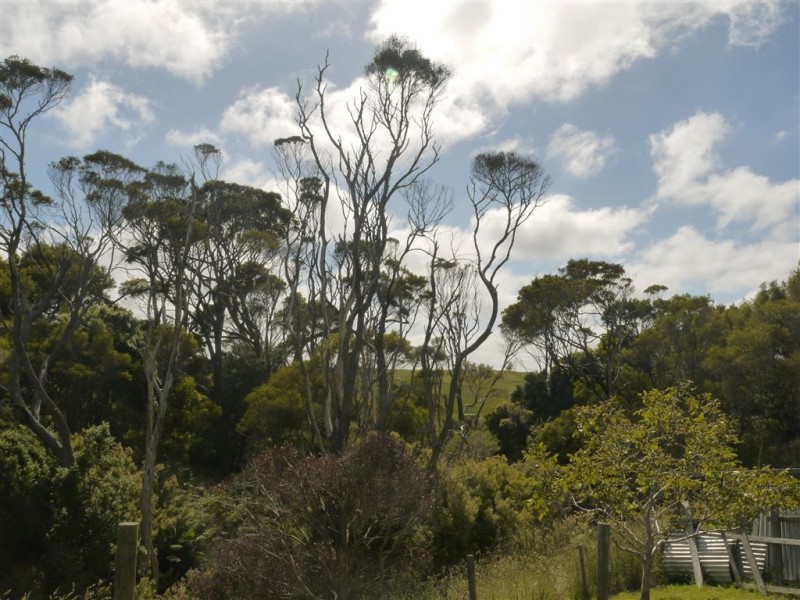 137 Brumbys Road, Currie TAS 7256
