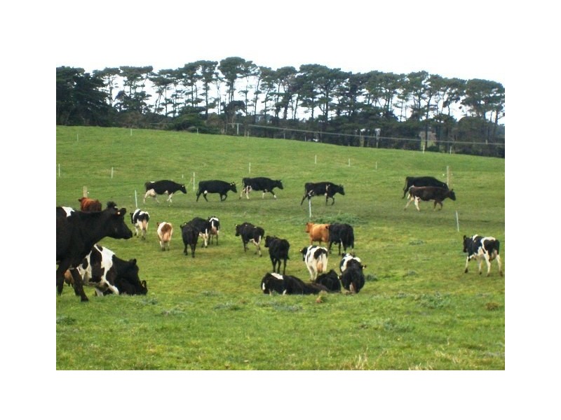 767 Loop Road, Lymwood TAS 7256