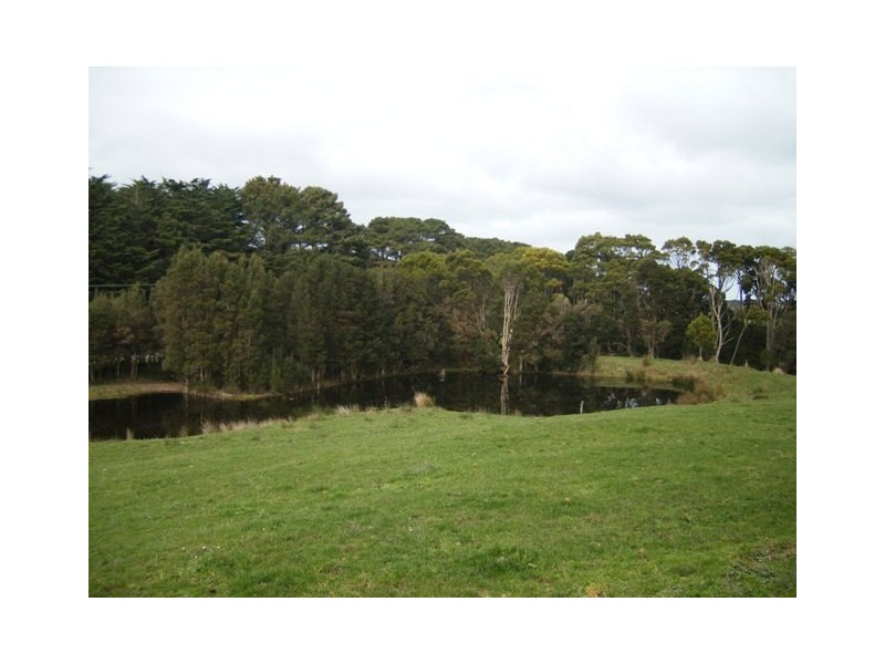 767 Loop Road, Lymwood TAS 7256