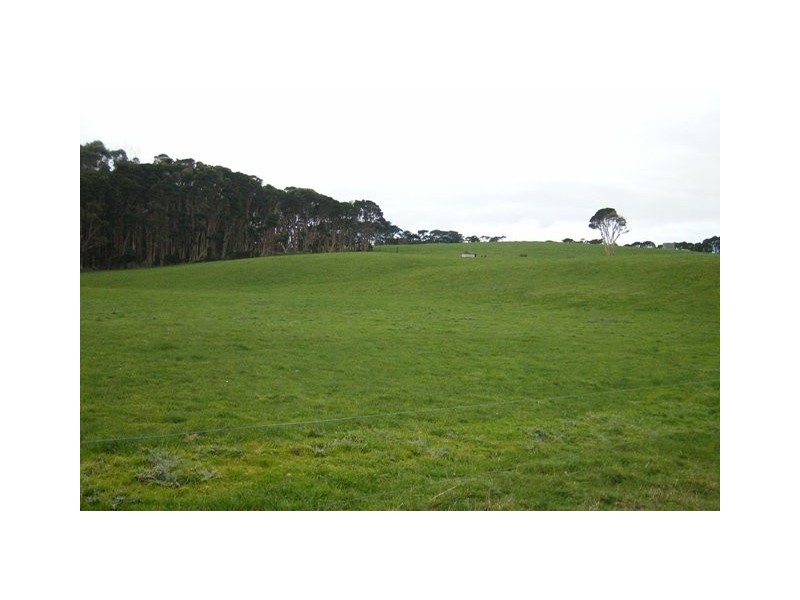 767 Loop Road, Lymwood TAS 7256