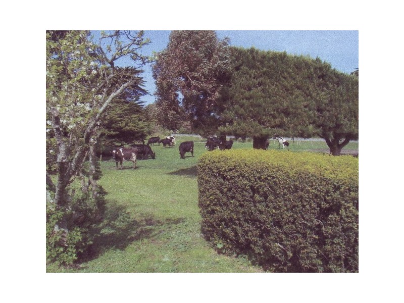 2839 North Road, Yambacoona TAS 7256