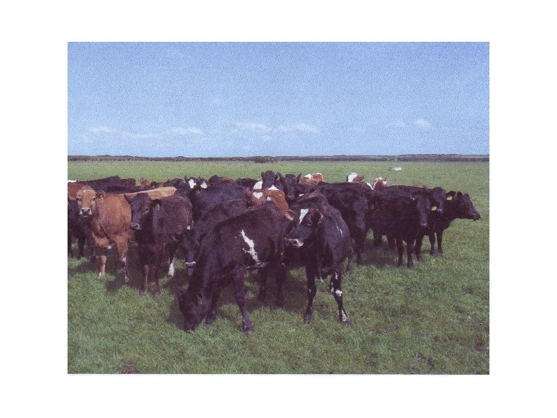 2839 North Road, Yambacoona TAS 7256