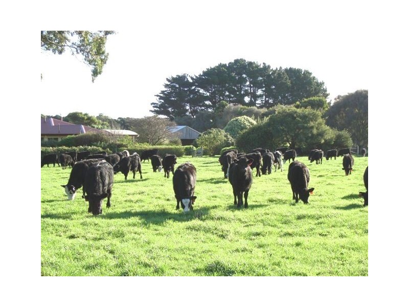 49 Bold Head Road, Yarra Creek TAS 7256