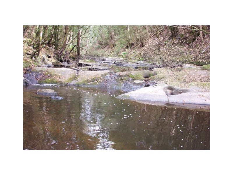 49 Bold Head Road, Yarra Creek TAS 7256