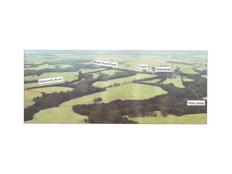 49 Bold Head Road, Yarra Creek TAS 7256