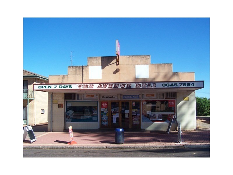 91 Essington Lewis Avenue, Whyalla SA 5600