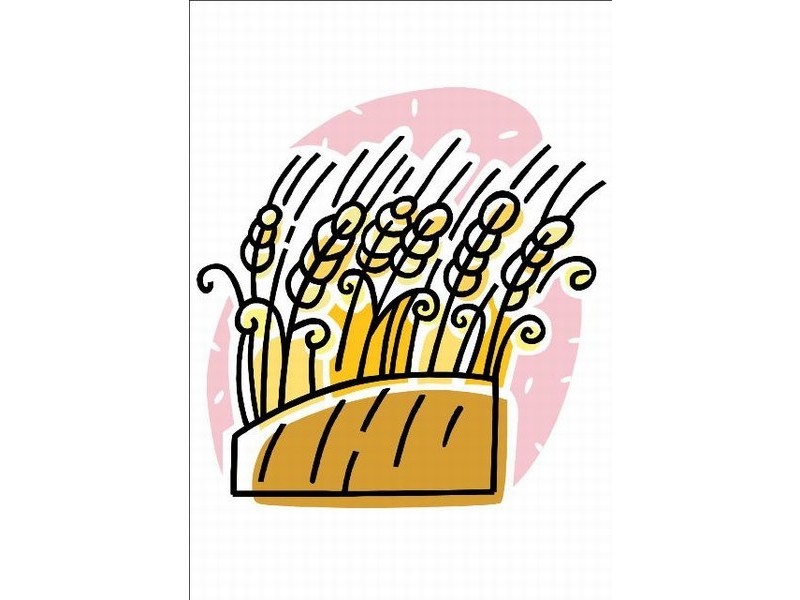 580 ha Mt Damper (35km South of Minnipa), Minnipa SA 5654