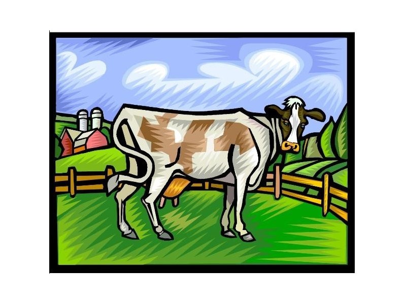 Lot 2 Highway One, Kyancutta SA 5651
