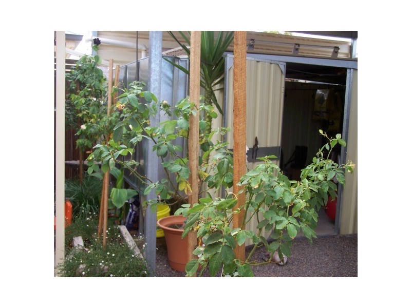 8 Dow Street, Whyalla Norrie SA 5608