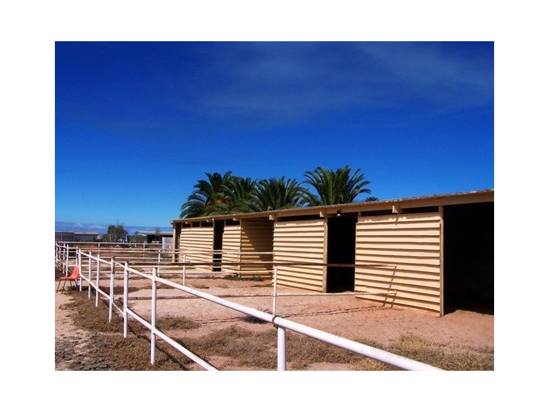 434 Saddleback Road, Whyalla Stuart SA 5608