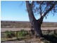 272 Earle Street, Iron Knob SA 5601