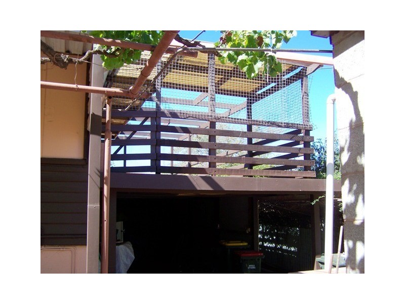 62 Sharp Street, Whyalla SA 5600