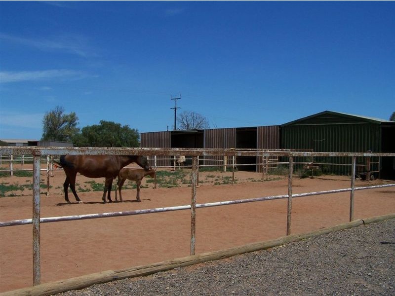 268 Landrace Road, Mullaquana, Whyalla SA 5600