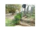 38 Davison Street, Whyalla Norrie, Whyalla SA 5600