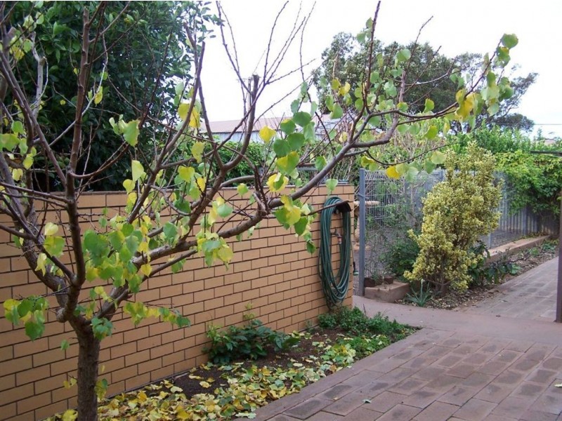 16 Newton Street, Whyalla SA 5600