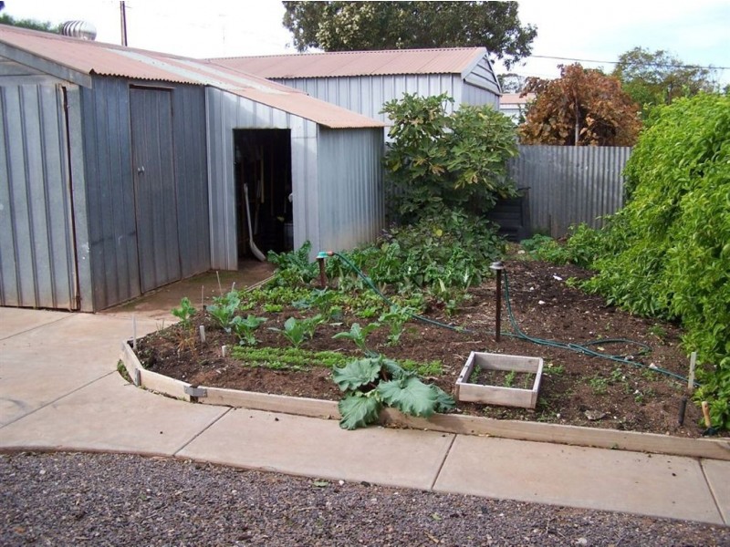 16 Newton Street, Whyalla SA 5600