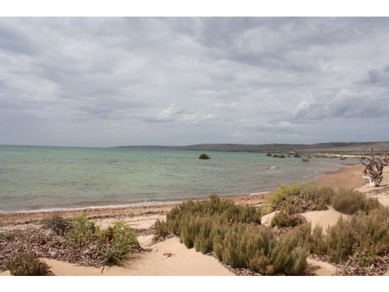 14 Black Oak Cove, Fitzgerald Bay, Whyalla SA 5600