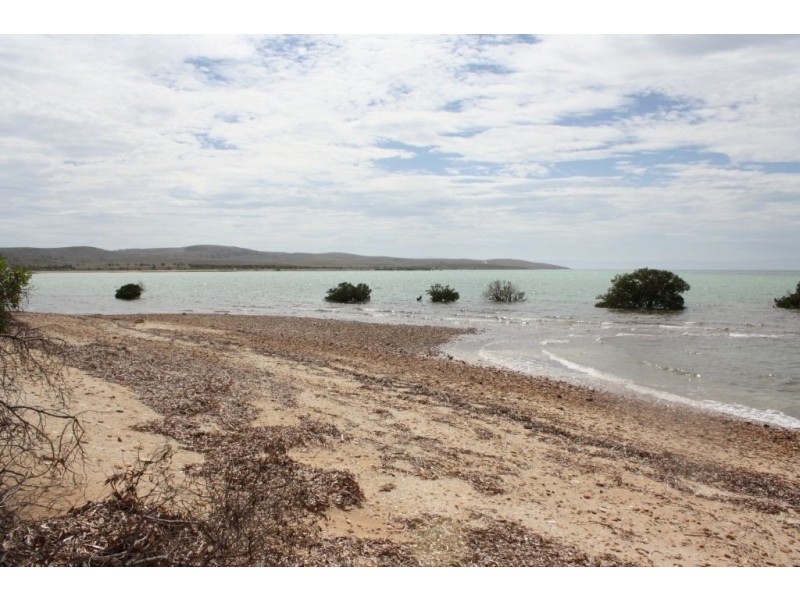 14 Black Oak Cove, Fitzgerald Bay, Whyalla SA 5600