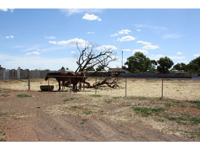 263 Landrace Road, Whyalla SA 5600