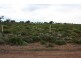 Sect 453 Covino Road, Whyalla SA 5600
