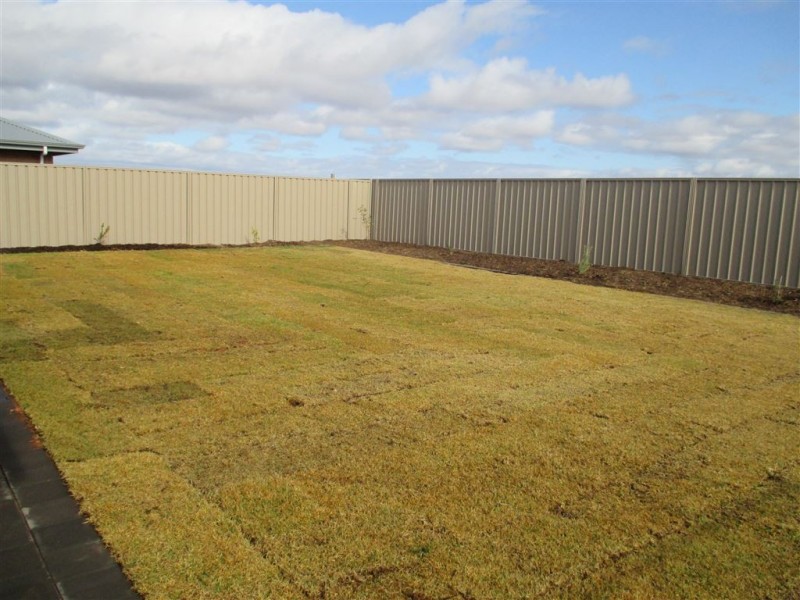 42 McInness Avenue, Whyalla Jenkins, Whyalla SA 5600