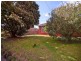 119 Karingal Drive, Frankston VIC 3199