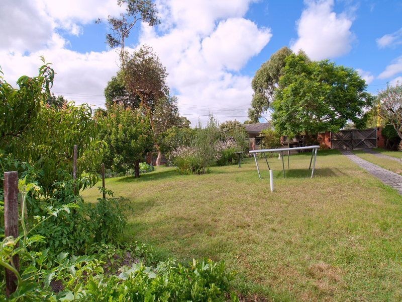 7 Cliveden Avenue, Frankston VIC 3199