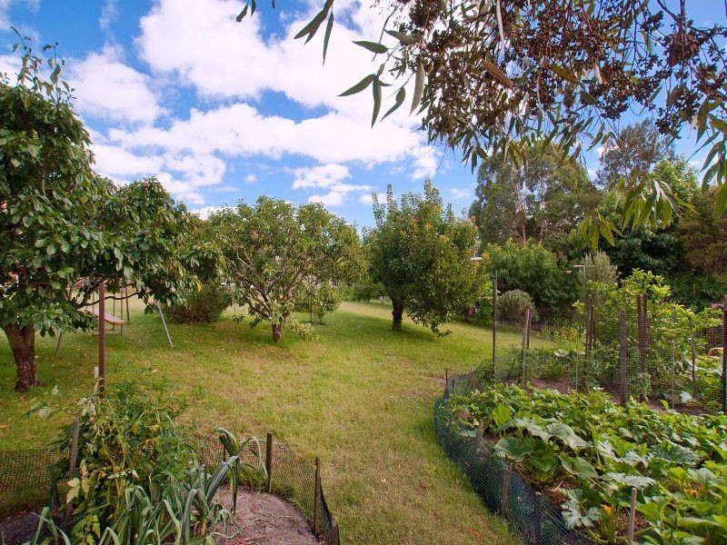 7 Cliveden Avenue, Frankston VIC 3199