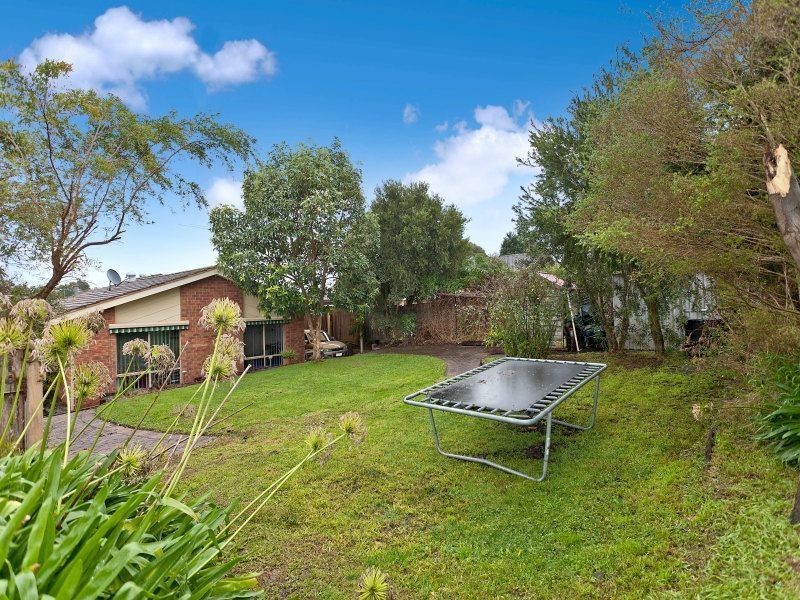 16 Leonard Drive, Langwarrin VIC 3910