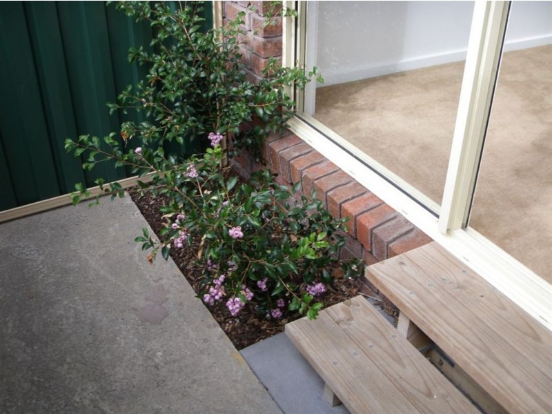 45/325 Nepean Highway, Frankston VIC 3199