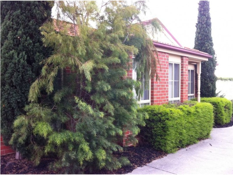 1/53 Guelph Street, Somerville VIC 3912