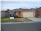 45 Meadow Crest Circuit, Mount Martha VIC 3934