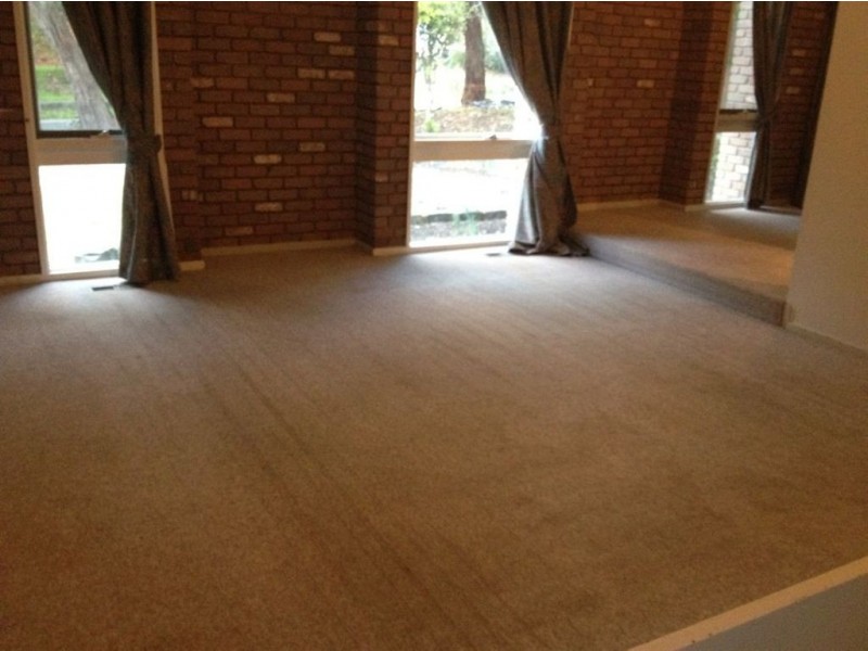 31 Beech Street, Langwarrin VIC 3910