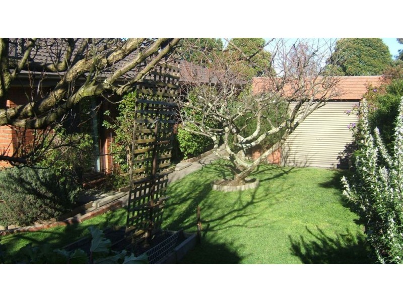 11 Goldborough Court, Frankston South VIC 3199