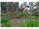 14 Crofters Hill Way, Somerville VIC 3912