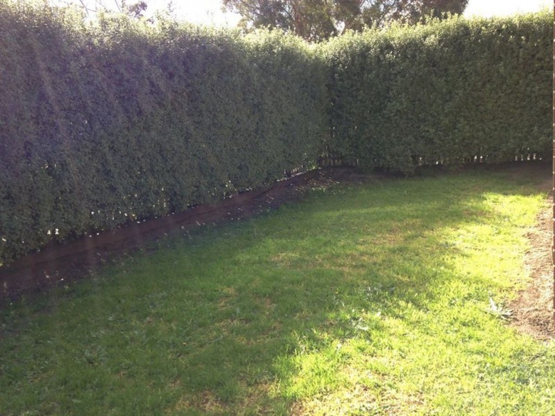 1/53 Guelph Street, Somerville VIC 3912