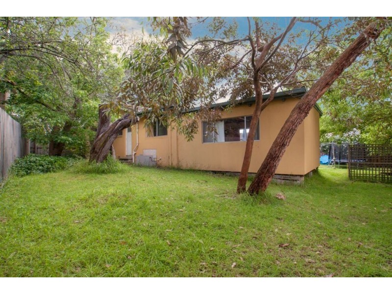 13 Berberis Crescent, Frankston VIC 3199