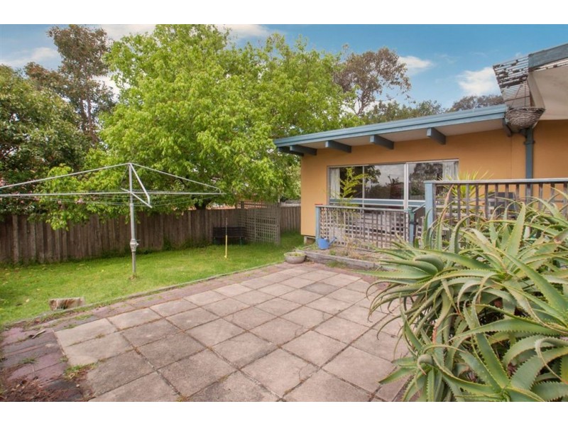 13 Berberis Crescent, Frankston VIC 3199