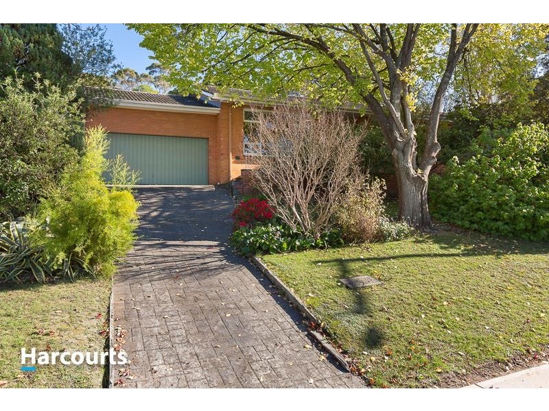 8 Anne Street, Berwick VIC 3806