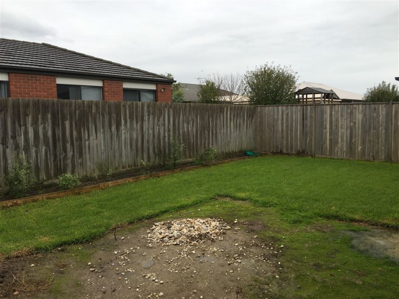 3 Macreadie Drive, Berwick VIC 3806